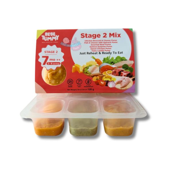 BEBETUMMY STAGE 2 - All FLAVOUR MIX 120g [FROZEN FOOD]